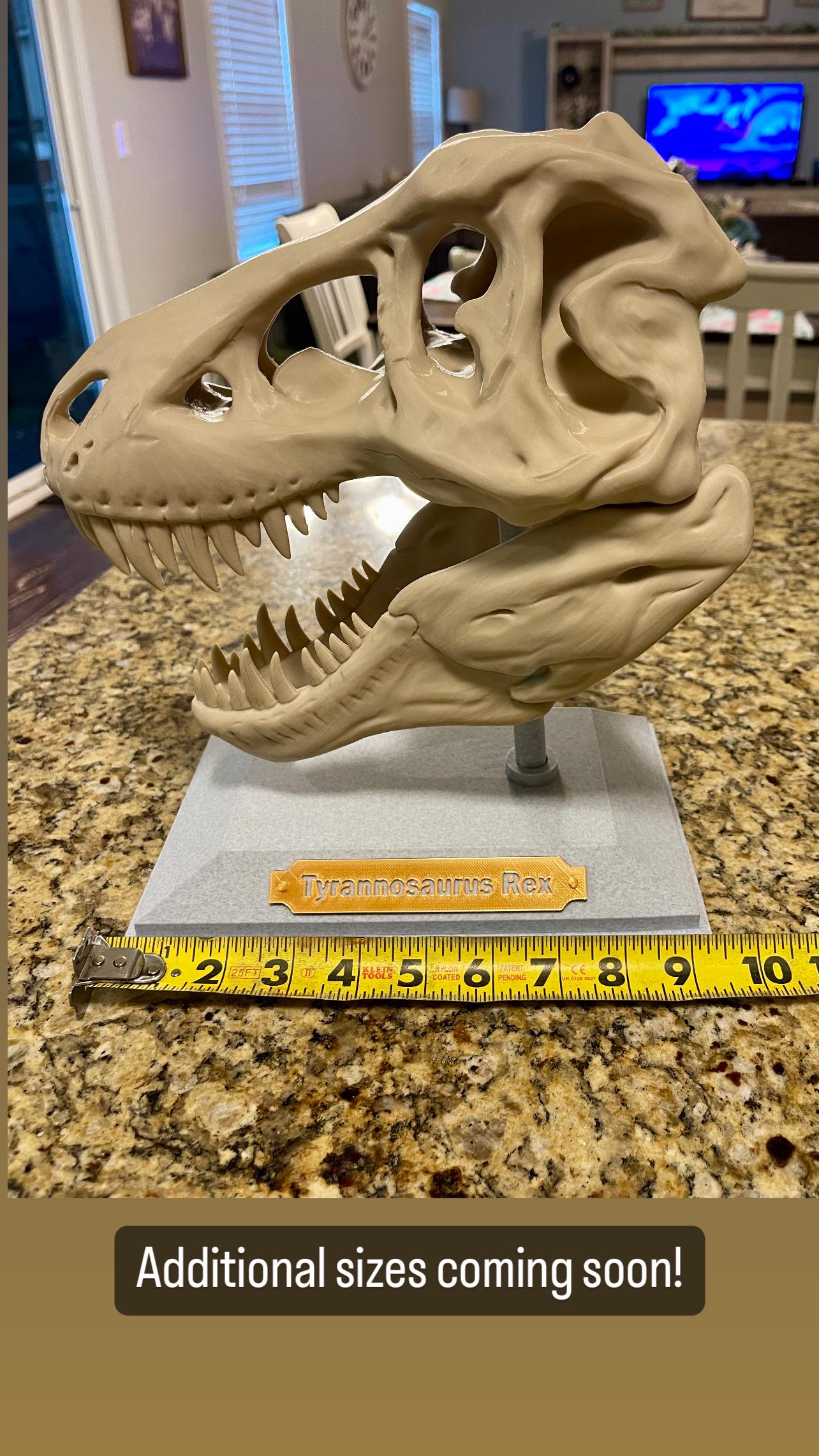 Large 3D Printed T-Rex Skull - Multicolor