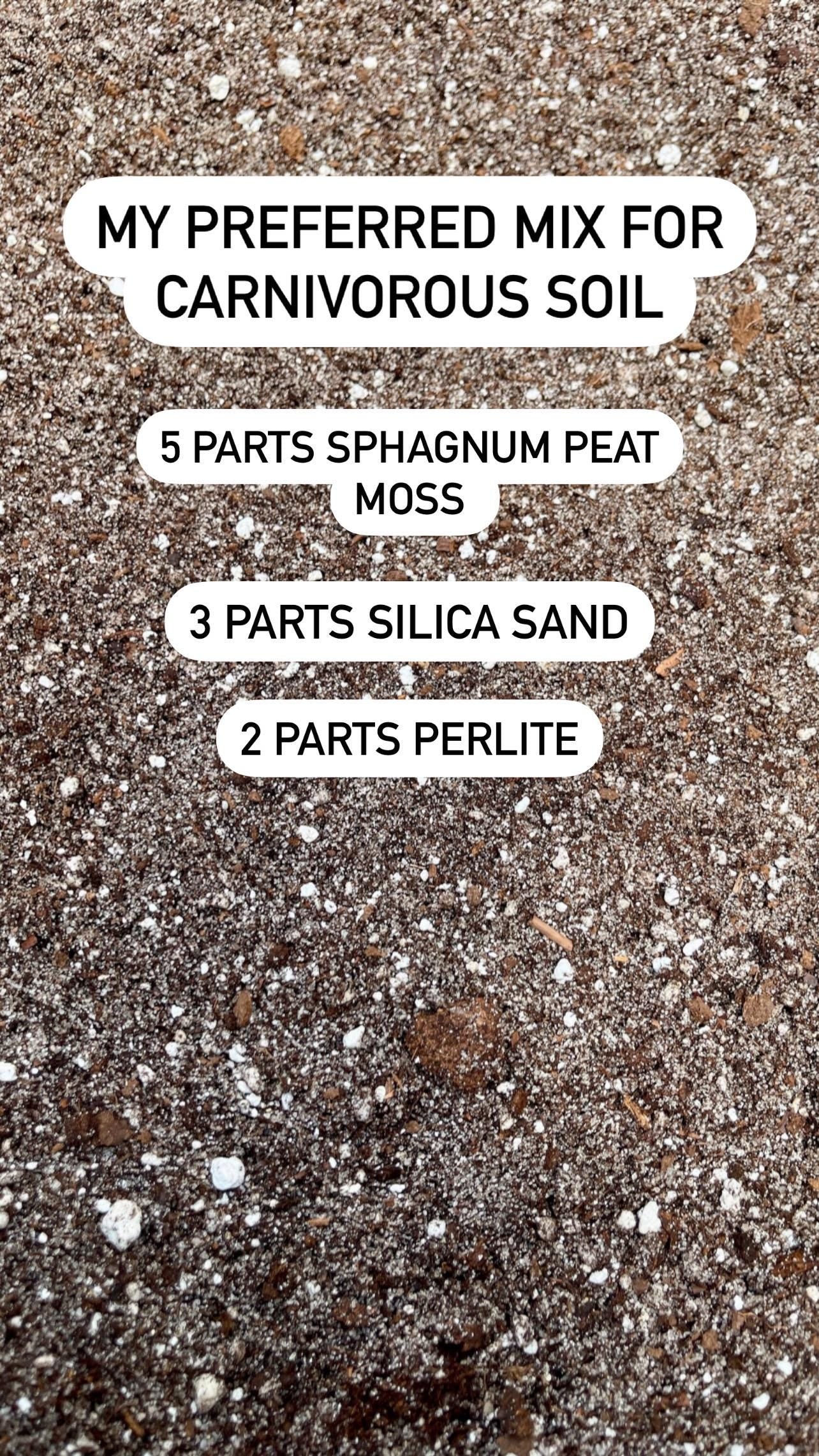 Carnivorous Plant Soil Mix - Quart Size | Peat Moss, Silica Sand & Perlite | Ideal for Venus Flytraps, Pitcher Plants, Sundews