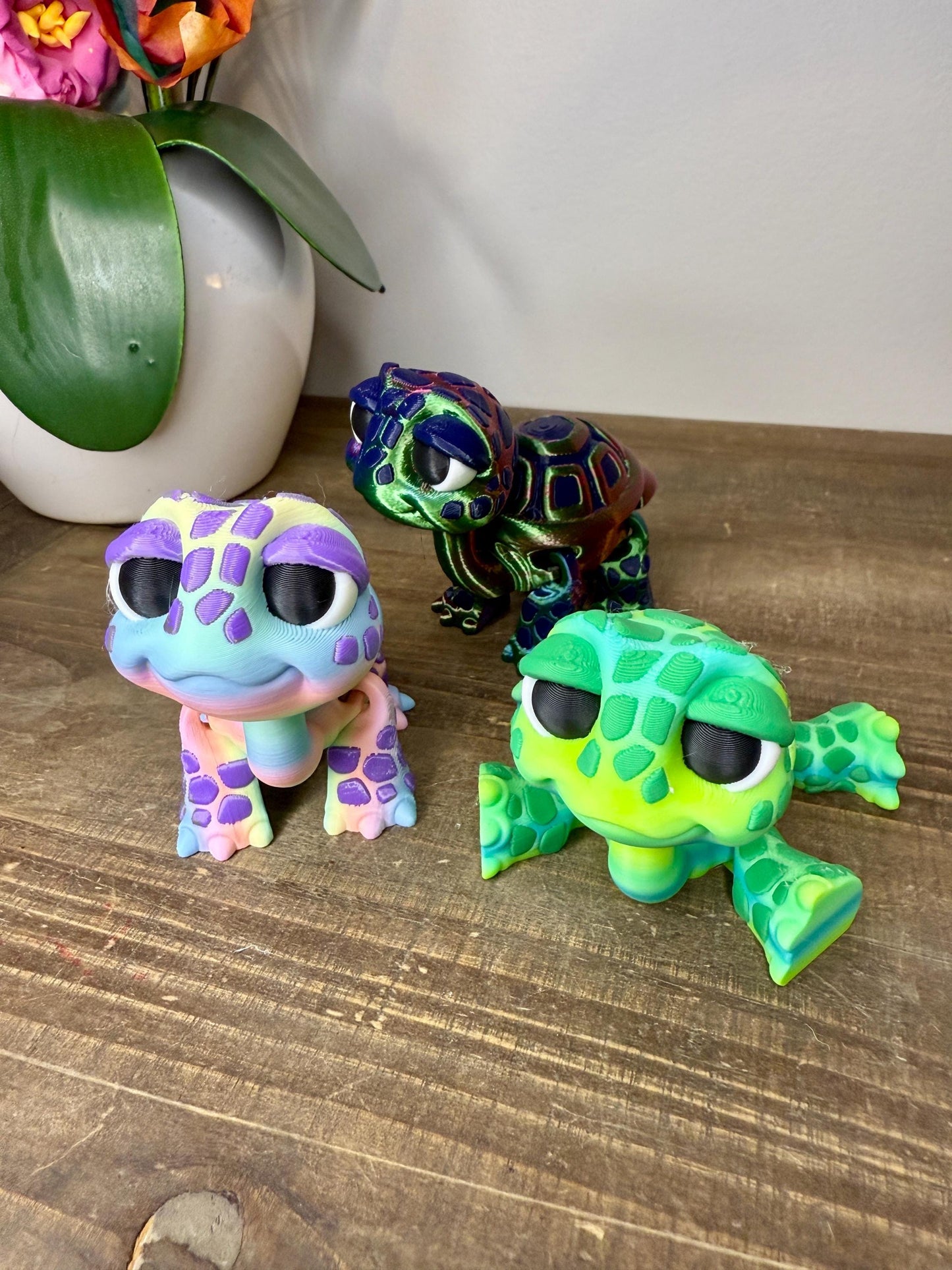 Adorable Turtle Tortoise