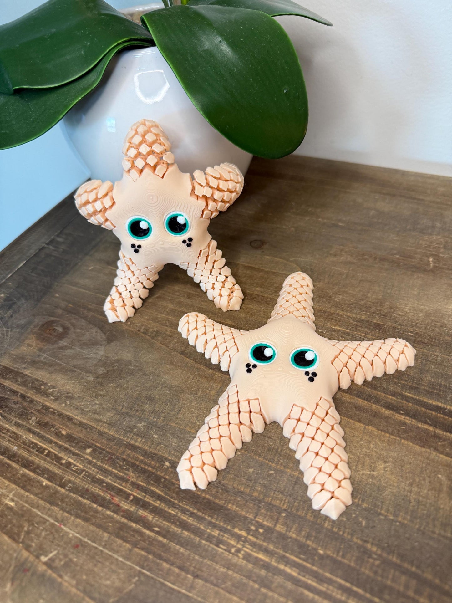 3D Printed Articulated Starfish Toy, Flexible Ocean Animal Fidget