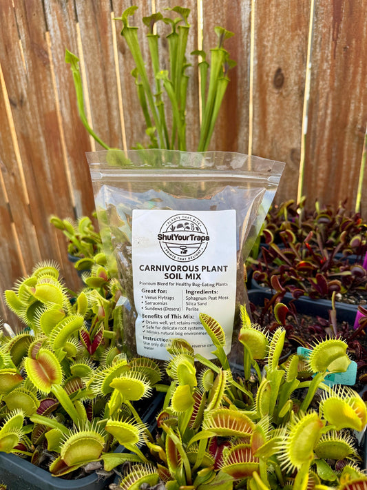 Carnivorous Plant Soil Mix - Quart Size | Peat Moss, Silica Sand & Perlite | Ideal for Venus Flytraps, Pitcher Plants, Sundews